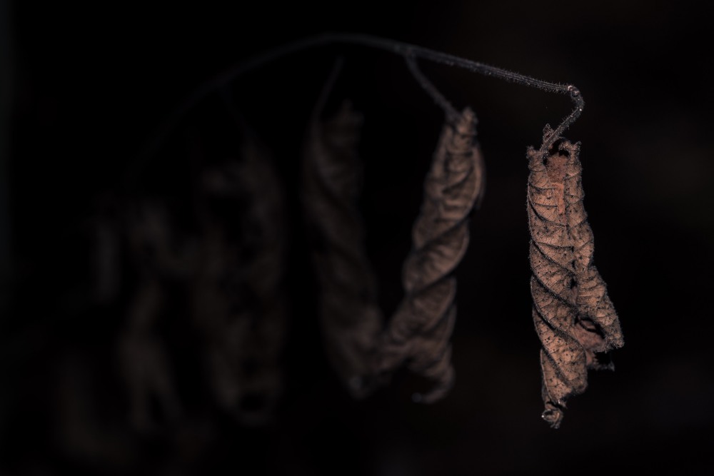 11. Platz Uwe Krause